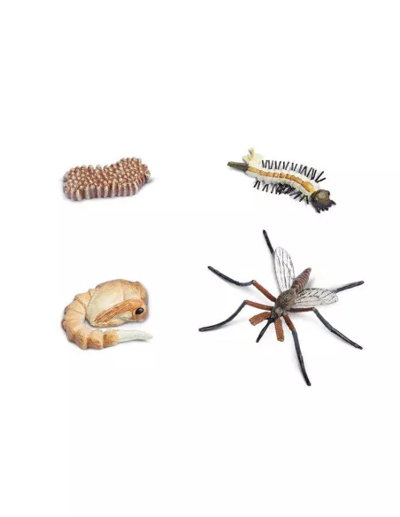 Safari Ltd. Životní cyklus - Komár