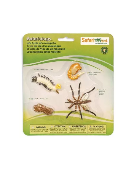 Safari Ltd. Životní cyklus - Komár