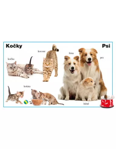 INFOA Moje první kniha - Naše zvířata