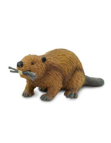 Safari Ltd. Figurka - Bobr