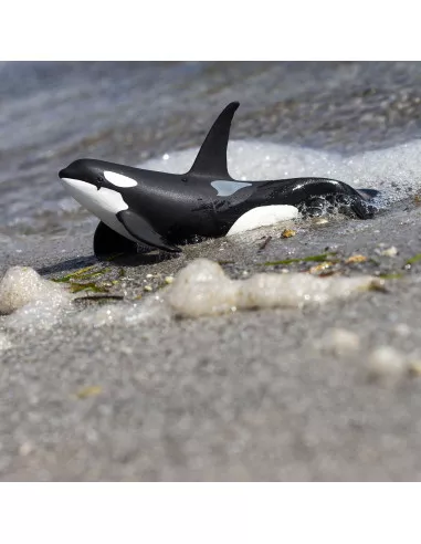 Safari Ltd. Figurka - Kosatka