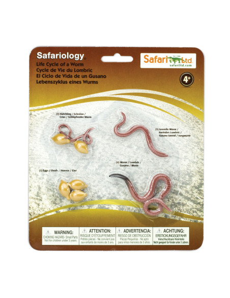 Safari Ltd. Životní cyklus - Žížala