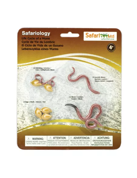 Safari Ltd. Životní cyklus - Žížala