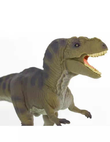 Safari Ltd. Figurka - Tyrannosaurus Rex