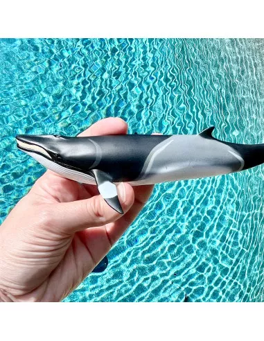 Safari Ltd. Figurka - Plejtvák Minke