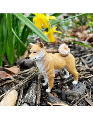 Safari Ltd. Figurka - Shiba Inu