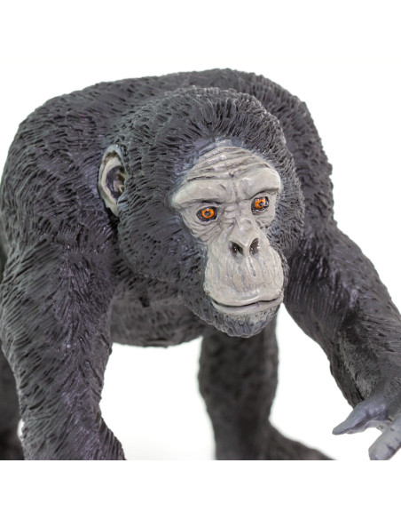 Safari Ltd. Figurka - Šimpanz