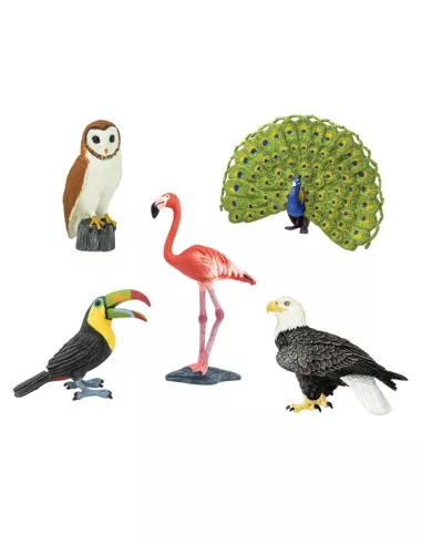 Safari Ltd. Ptáci (5 ks)