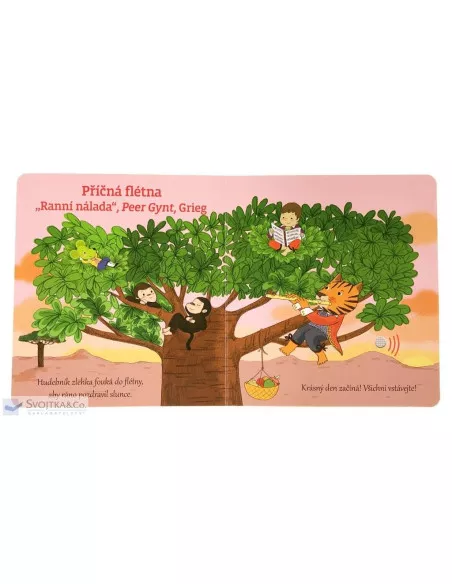 Svojtka & CO Moje klasické hudební nástroje