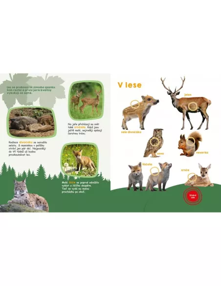 Svojtka & CO Moje velká kniha - Zvuky jara