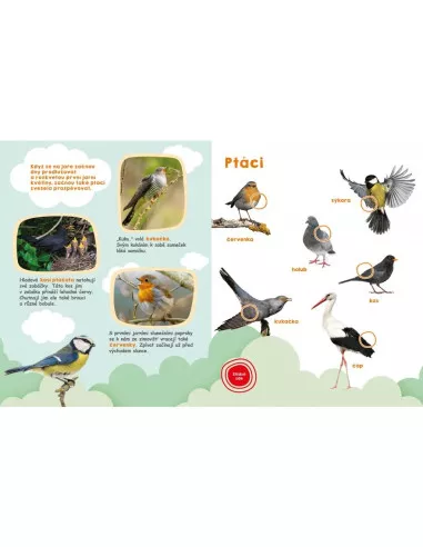 Svojtka & CO Moje velká kniha - Zvuky jara