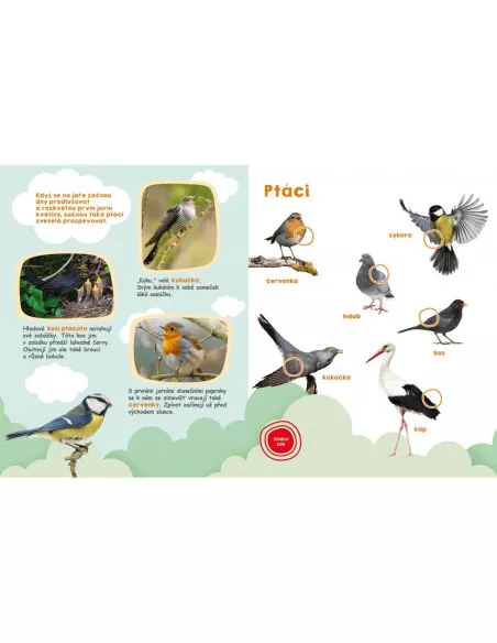 Svojtka & CO Moje velká kniha - Zvuky jara