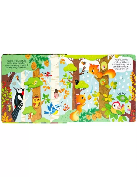 Svojtka & CO Zvuky lesa