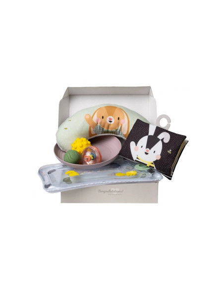 Taf Toys Sada hraček pro hru na bříšku