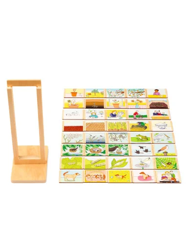 Toys for life - Životní cykly