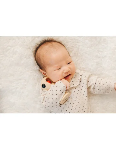 PlanToys Kontrastní chrastítko