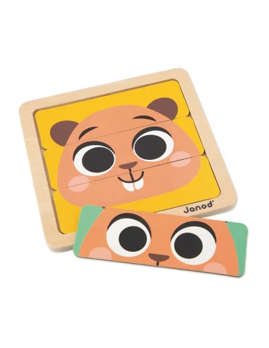 Janod Sada pro rozvoj dovedností 4v1