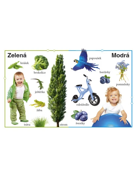 Moje první kniha - První znalosti