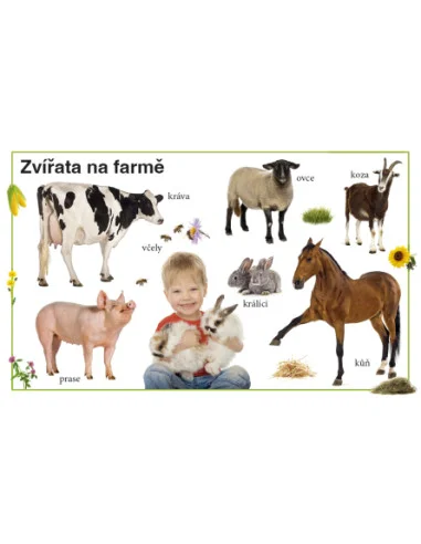 Moje první kniha - První znalosti