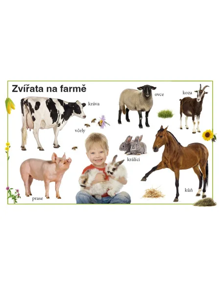 Moje první kniha - První znalosti