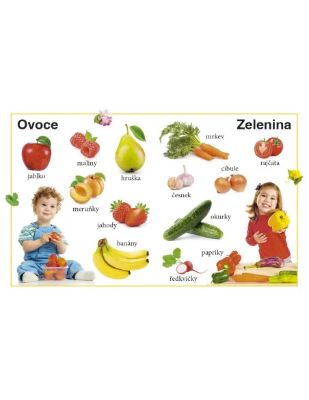 Moje první kniha - První znalosti