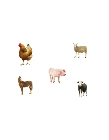 Just Jigsaws Puzzle - Tvary a paměť s předlohami