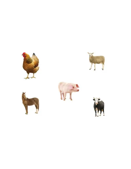 Just Jigsaws Puzzle - Tvary a paměť s předlohami