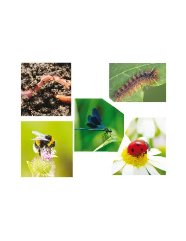Just Jigsaws Puzzle - Tvary a paměť s předlohami