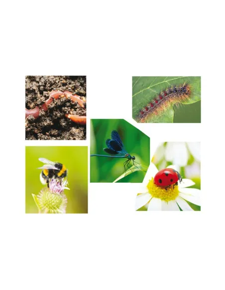 Just Jigsaws Puzzle - Tvary a paměť s předlohami