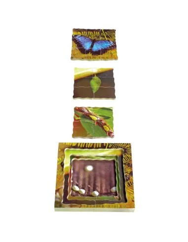 Just Jigsaws Puzzle životní cyklus - Motýl