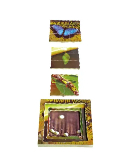 Just Jigsaws Puzzle životní cyklus - Motýl