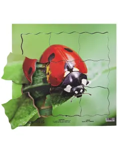 Just Jigsaws Puzzle životní cyklus - Beruška