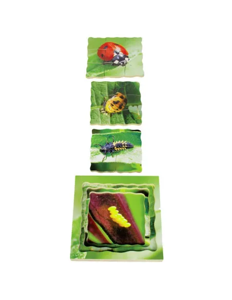 Just Jigsaws Puzzle životní cyklus - Beruška