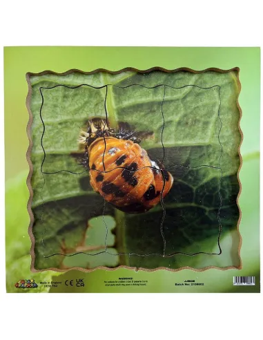 Just Jigsaws Puzzle životní cyklus - Beruška