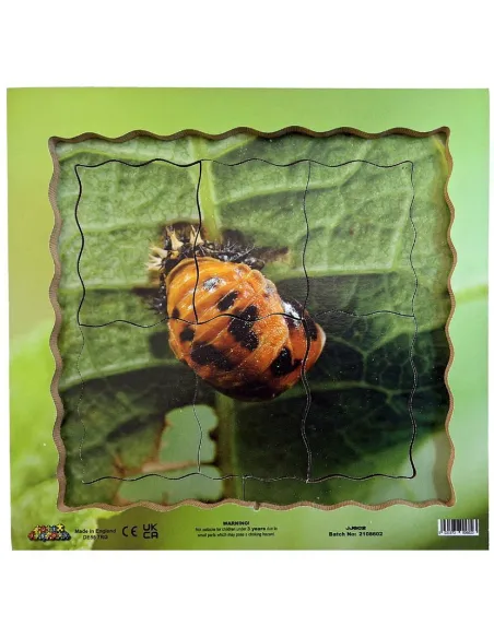 Just Jigsaws Puzzle životní cyklus - Beruška