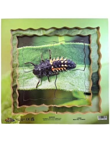 Just Jigsaws Puzzle životní cyklus - Beruška