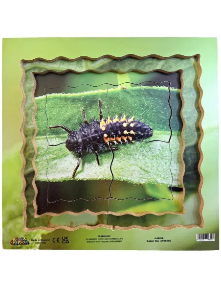 Just Jigsaws Puzzle životní cyklus - Beruška