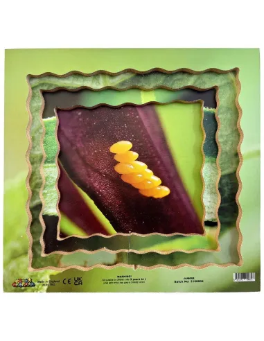 Just Jigsaws Puzzle životní cyklus - Beruška