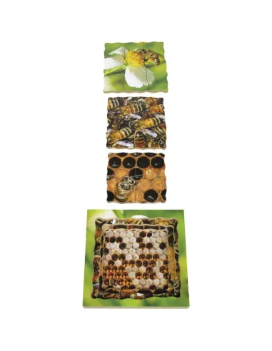 Just Jigsaws Puzzle životní cyklus - Včela