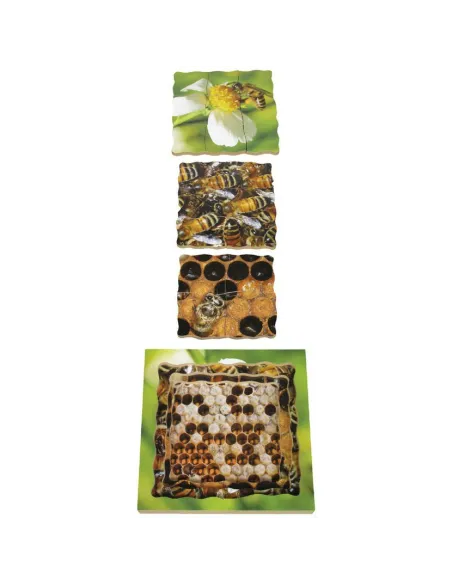 Just Jigsaws Puzzle životní cyklus - Včela