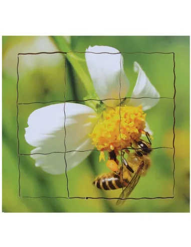 Just Jigsaws Puzzle životní cyklus - Včela