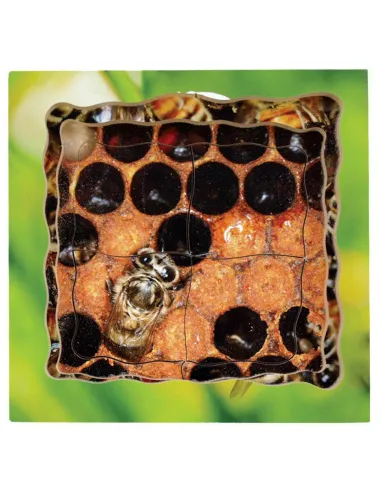 Just Jigsaws Puzzle životní cyklus - Včela