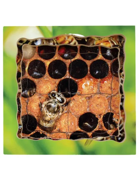 Just Jigsaws Puzzle životní cyklus - Včela