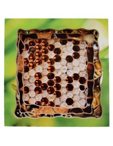 Just Jigsaws Puzzle životní cyklus - Včela