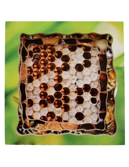 Just Jigsaws Puzzle životní cyklus - Včela