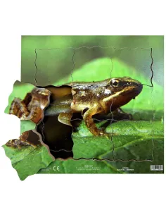 Just Jigsaws Puzzle životní cyklus - Žába