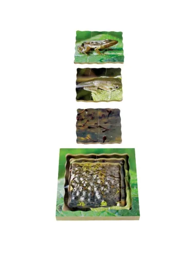 Just Jigsaws Puzzle životní cyklus - Žába