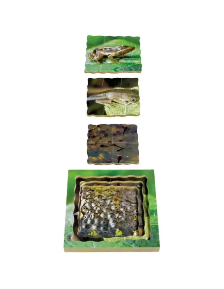 Just Jigsaws Puzzle životní cyklus - Žába