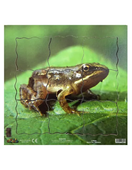 Just Jigsaws Puzzle životní cyklus - Žába