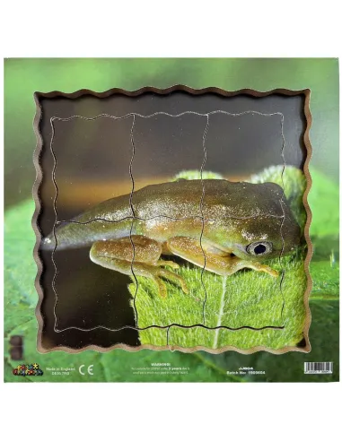 Just Jigsaws Puzzle životní cyklus - Žába